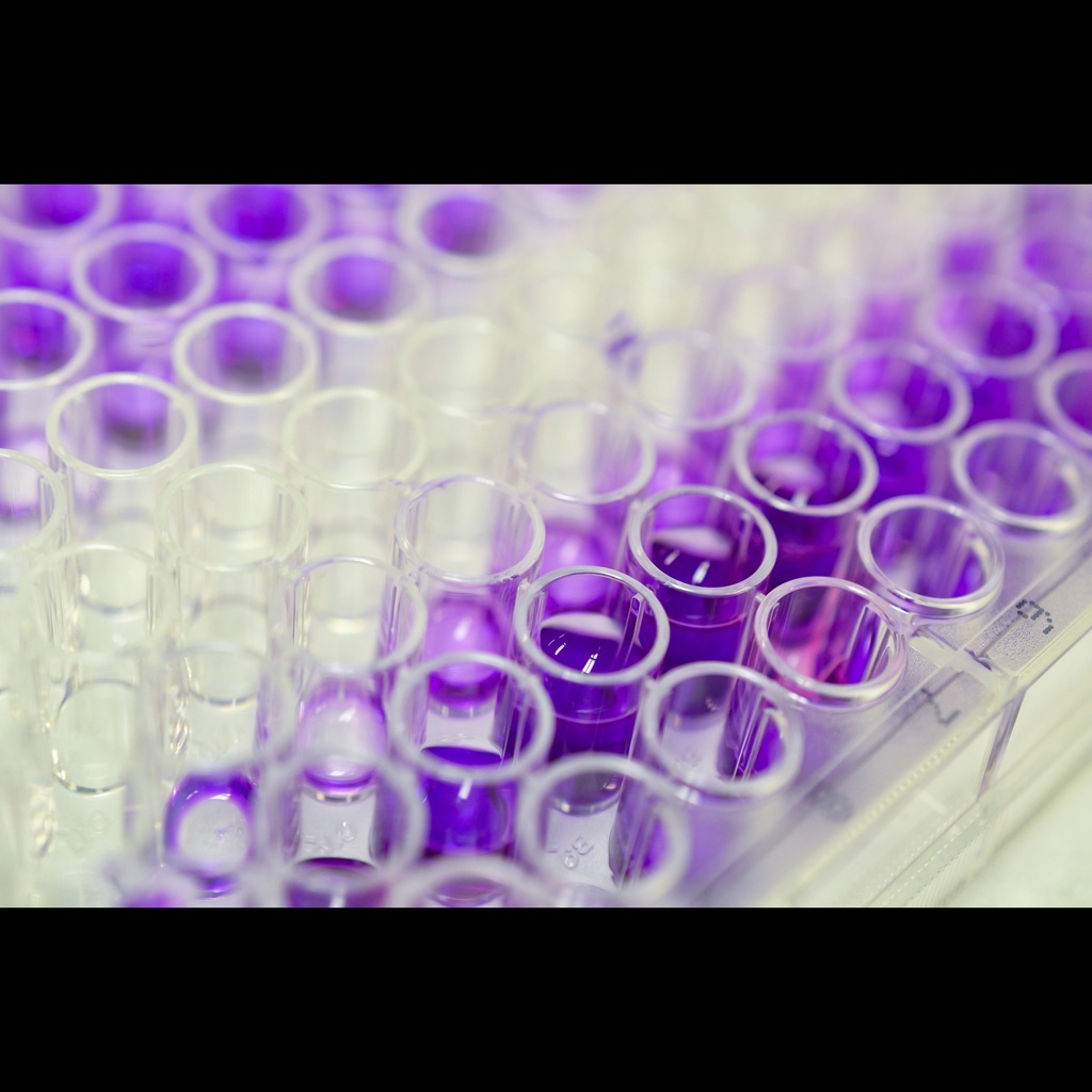 ELISA Reagents and Sample Pretreatment Set   15mL Stop solution, 70mL conc. wash buffer, 93 sets crushing rod+filter tube+collection tube