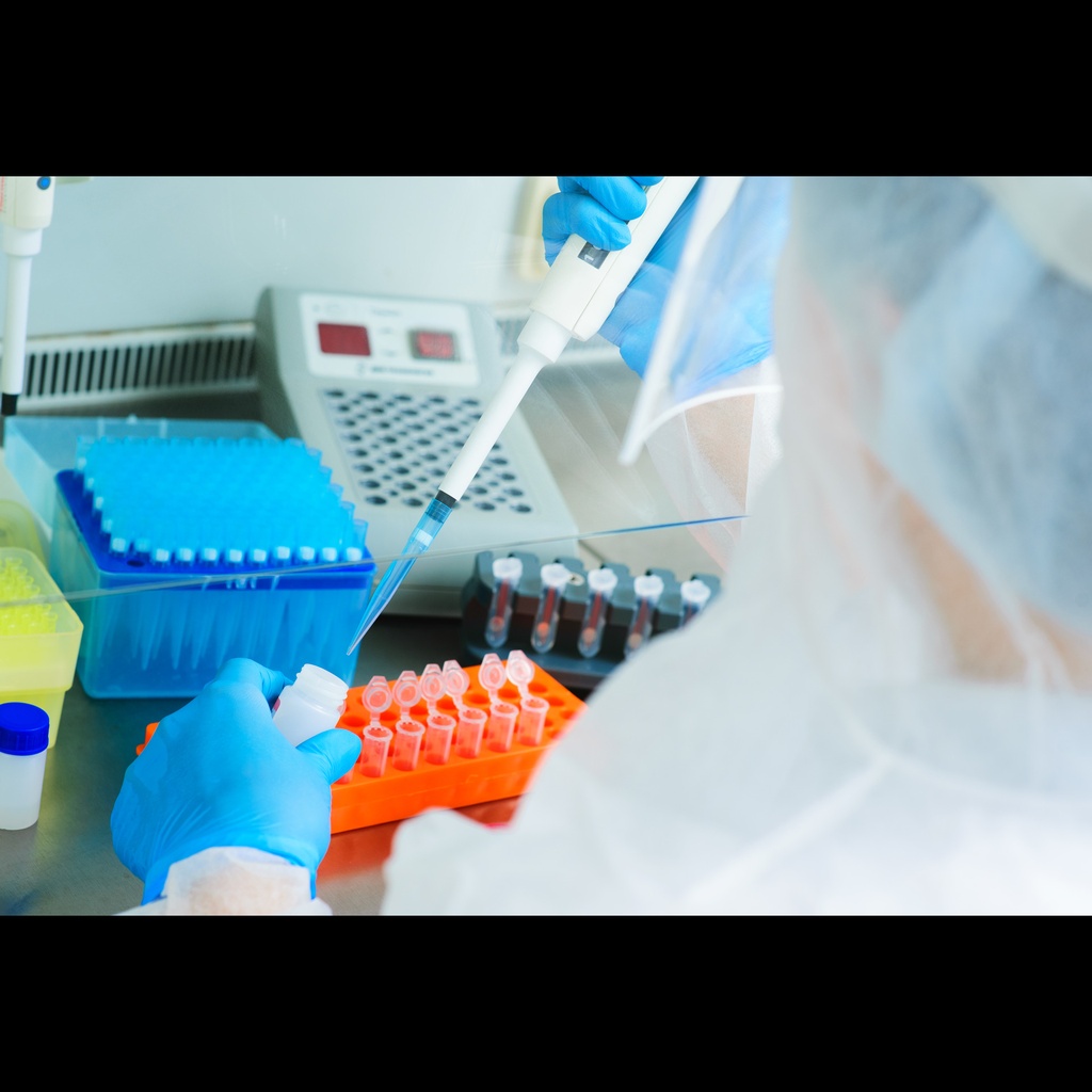 BioLit PCR and DNA Fragment Purification Kit (Research)